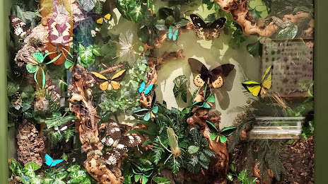 Financial Security Toms River