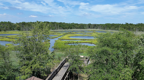 Financial Security Toms River
