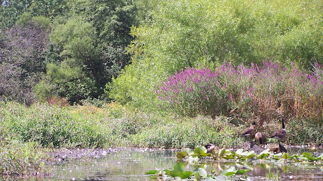 Financial Security Red Bank