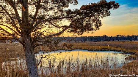 Financial Security Toms River